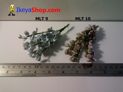 MLT 9 10  large2